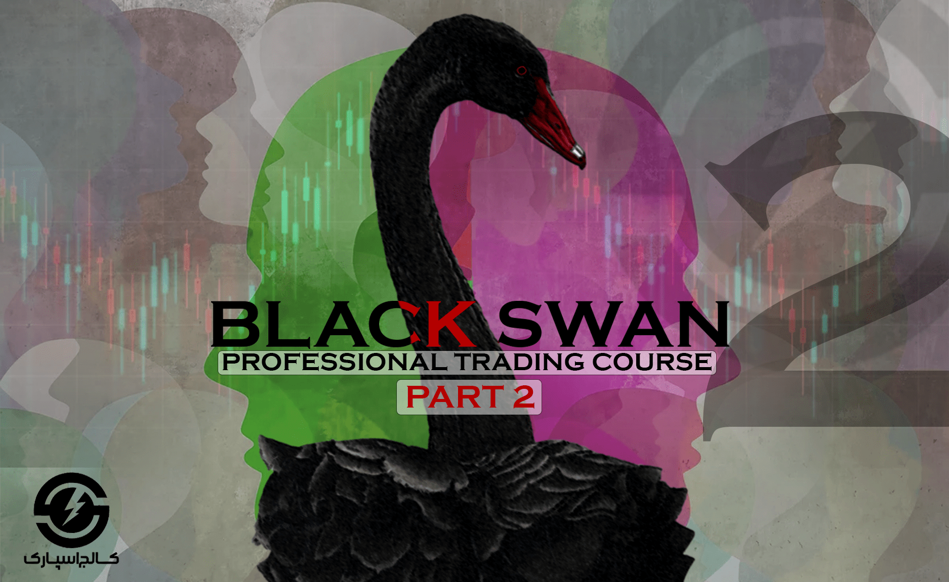 Blackswan2-min Blackswan2-min